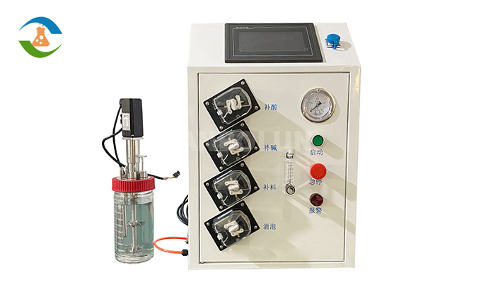 Laborbioreaktor-2